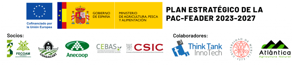 Financiado por la Unión Europea — MAPA / FEADER