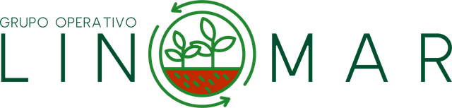 Logo LinoMar